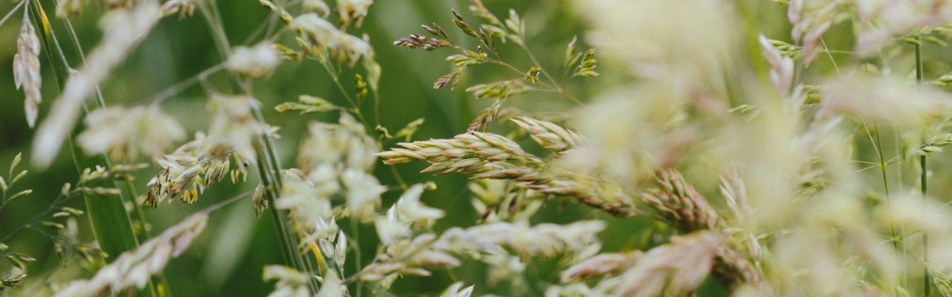 Portfolio Company Profile | AgBiTech - Paine Schwartz Partners