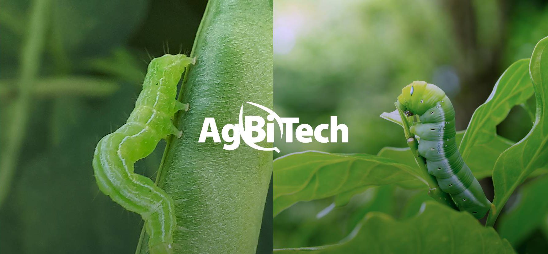 AgBiTech Appoints Peter Berweger, Agriculture Industry Executive, as Group Chief Executive Officer@2x