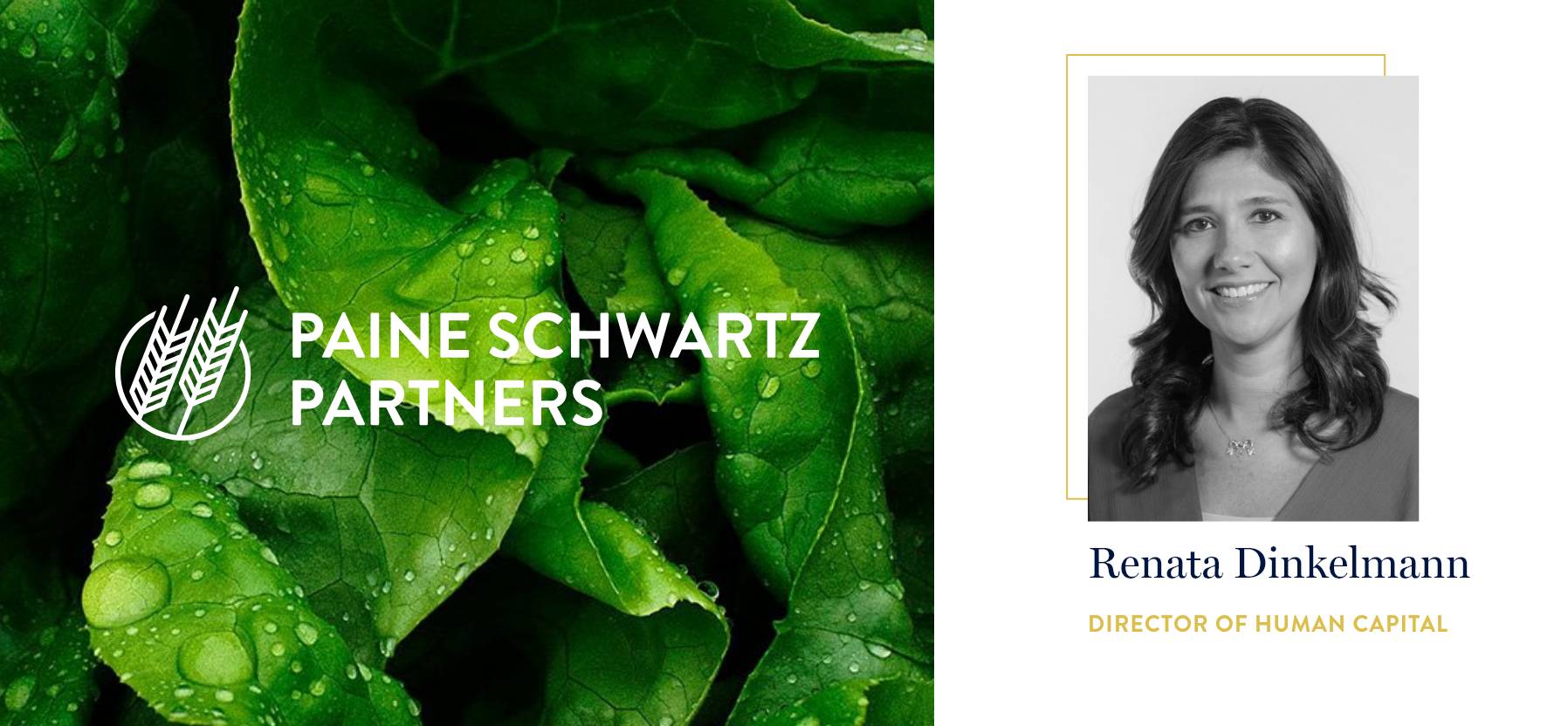 Paine Schwartz Partners Adds Renata Dinkelmann as Director – Human Capital2@2x