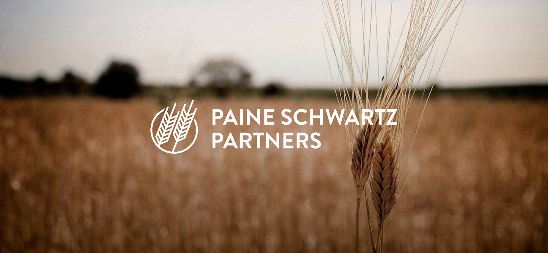 Paine Schwartz Partners Announces Team Member Promotions and Appointments@2x