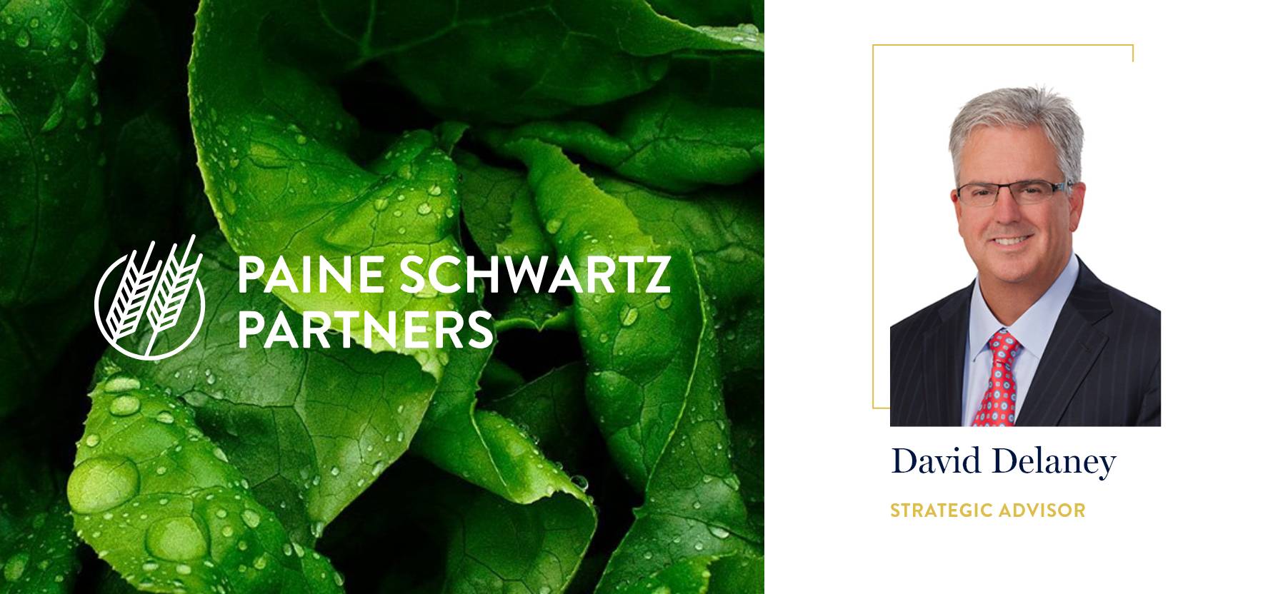 Paine & Partners Appoints David Delaney as Strategic Advisor@2x