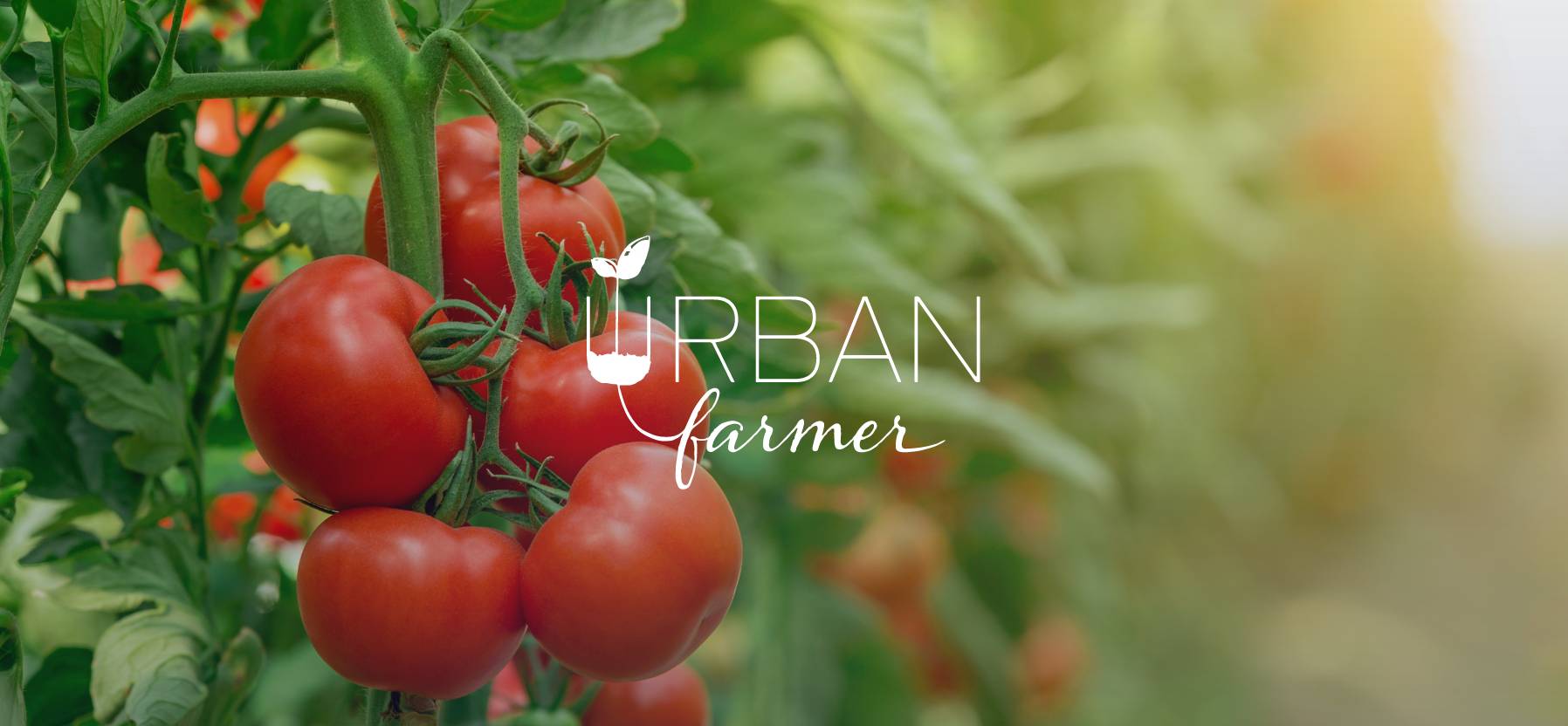 Paine Schwartz Food Chain Fund V Announces Investment in Urban Farmer@2x
