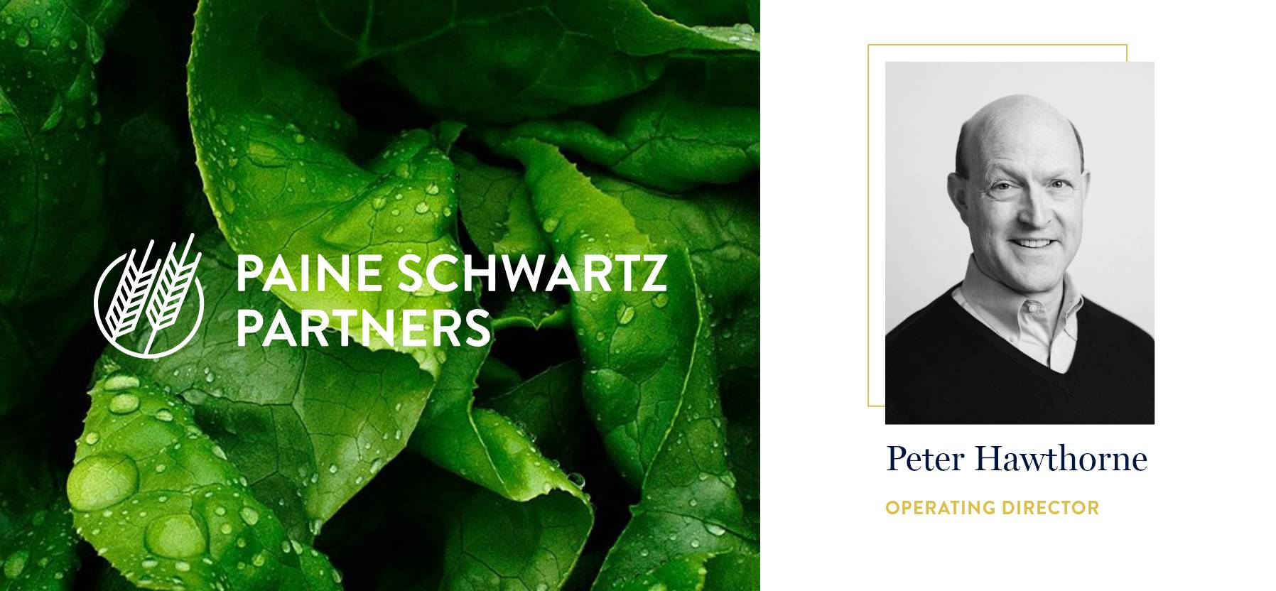 Paine Schwartz Partners Adds Peter Hawthorne@2x