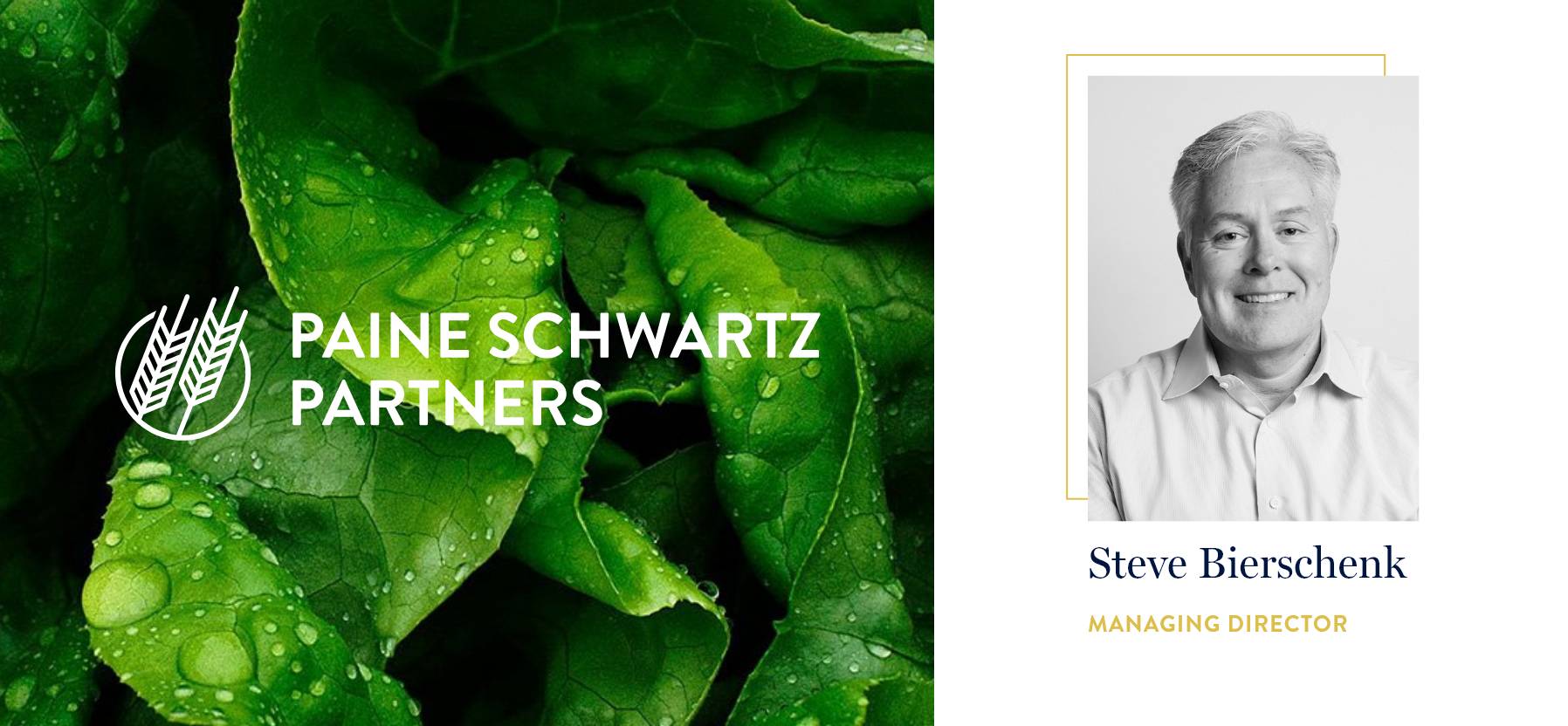 Paine Schwartz Partners Adds Steve Bierschenk as a Managing Director@2x