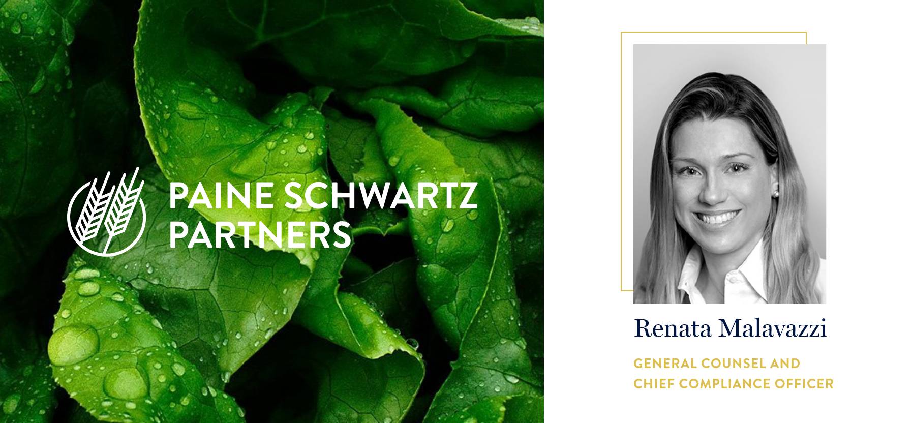 Paine Schwartz Partners Appoints Renata Malavazzi as General Counsel and Chief Compliance Officer@2x