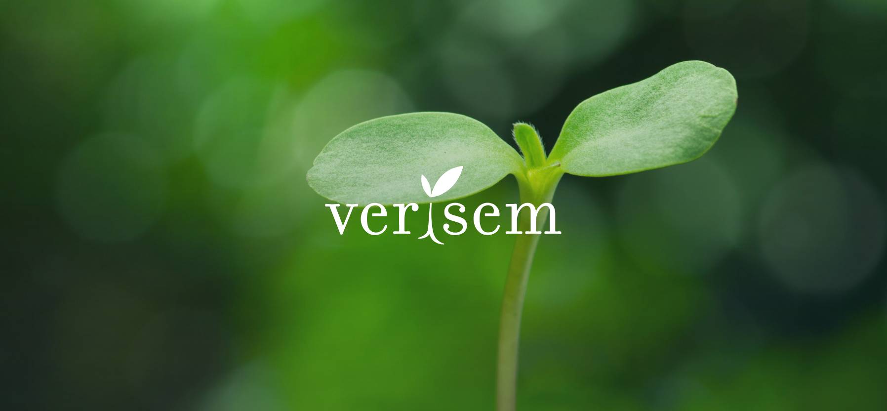 Verisem Acquires State-of-the-Art Vegetable Seed Processing Facility, Further Enhancing Capabilities@2x