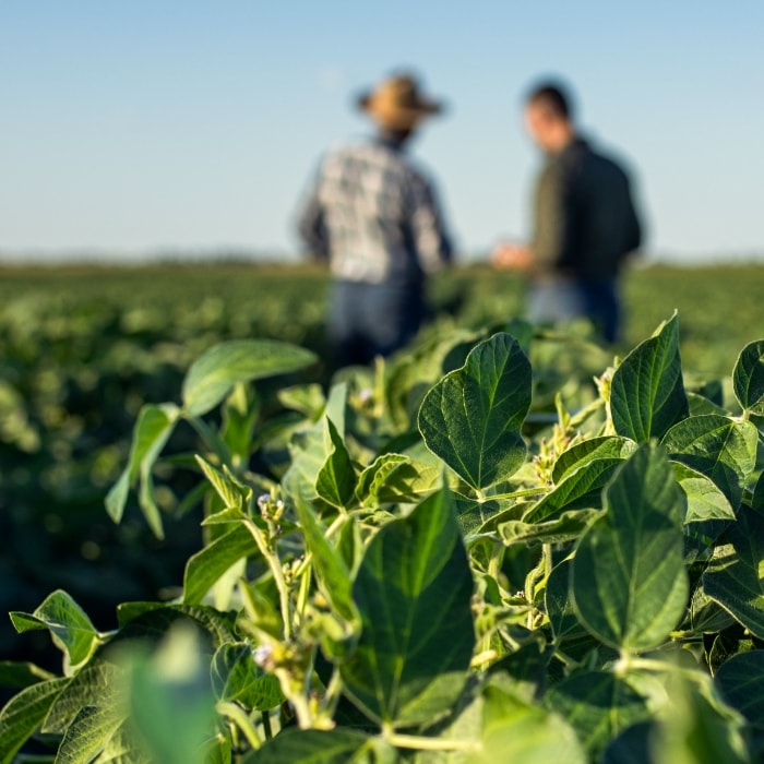 Paine Schwartz Partners Agribusiness Private Equity Firm