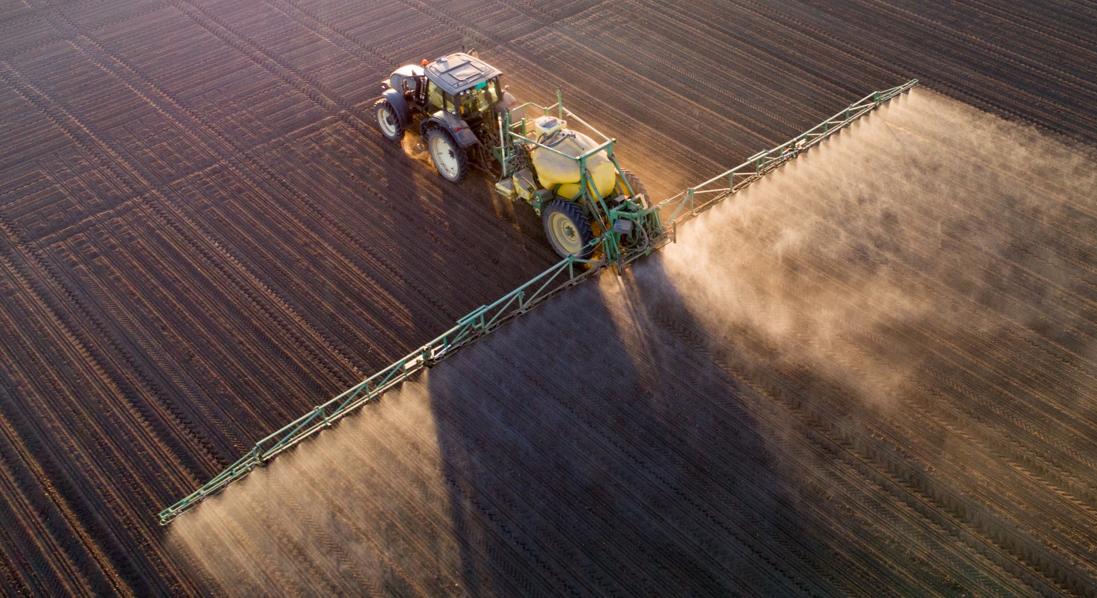 About Paine Schwartz Partners Private Equity Firm